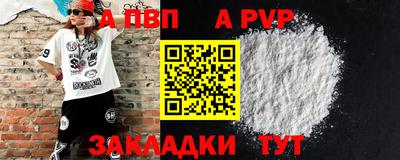 стаф Малгобек