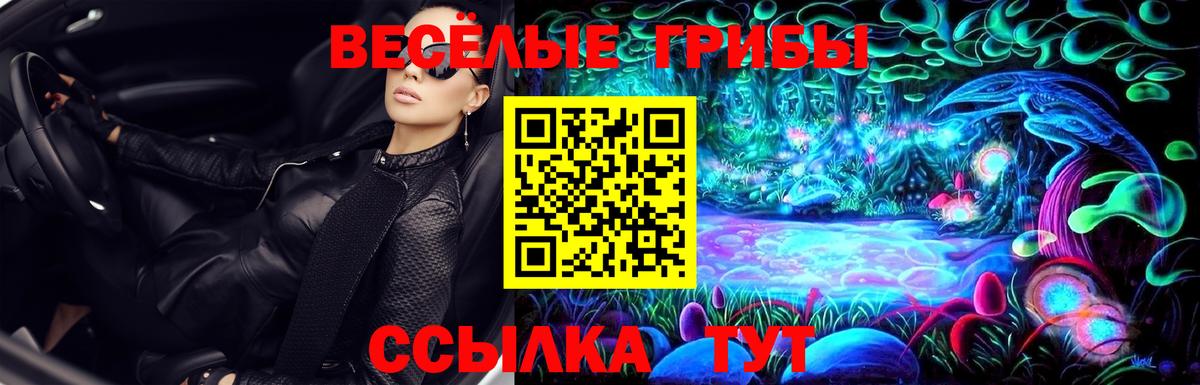 Псилоцибиновые грибы ЛСД Пушкино